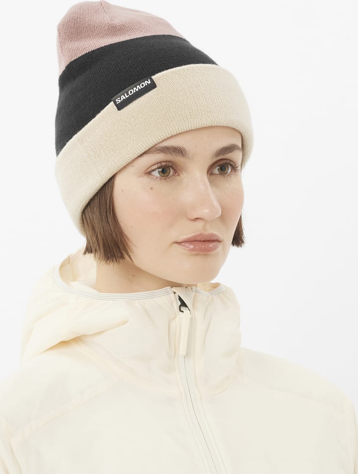 Salomon Flatspin Reversible Beanie Deep Black / Whisper White / Etherea Salomon