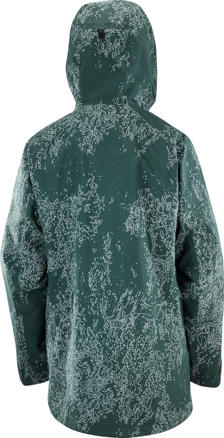 Salomon Women's Absolute 3L Print Jacket Ao/Green Gables Salomon