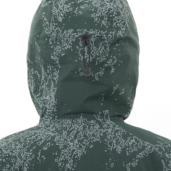 Salomon Women's Absolute 3L Print Jacket Ao/Green Gables Salomon Salomon Women's Absolute 3L Print Jacket Ao/Green Gables Salomon
