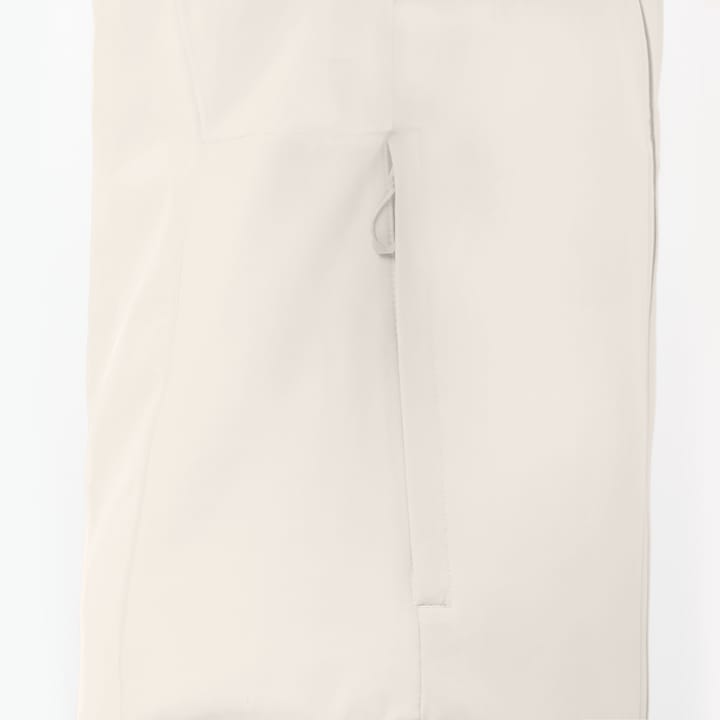 Salomon Men's GORE-TEX Soft Shell Jacket Whisper White Salomon