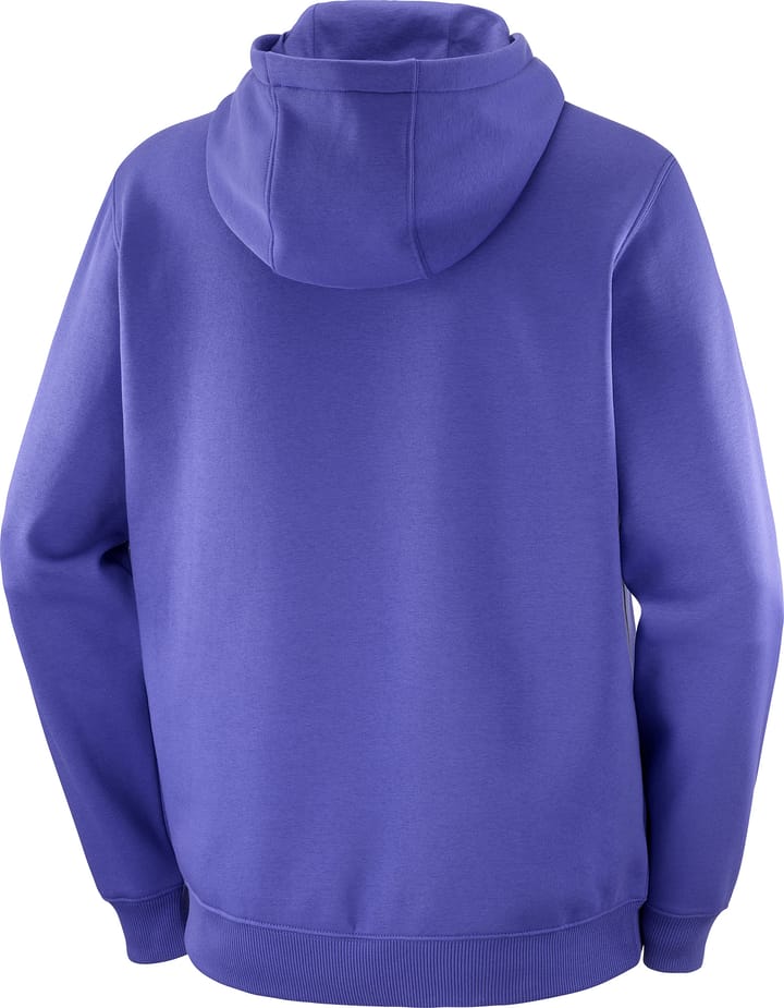 Salomon Men's Salomon Logo Hoodie Liberty Salomon