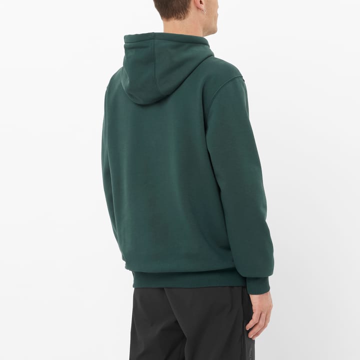 Salomon Unisex Freestyle Hoodie Green Gables Salomon
