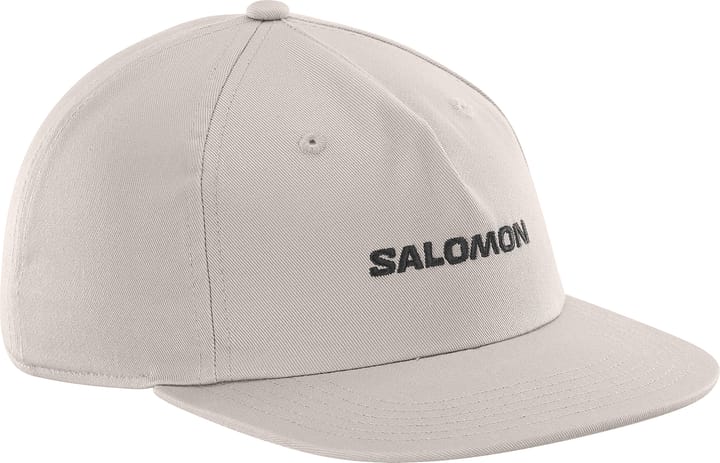 Salomon Logo Flat Cap Etherea Salomon