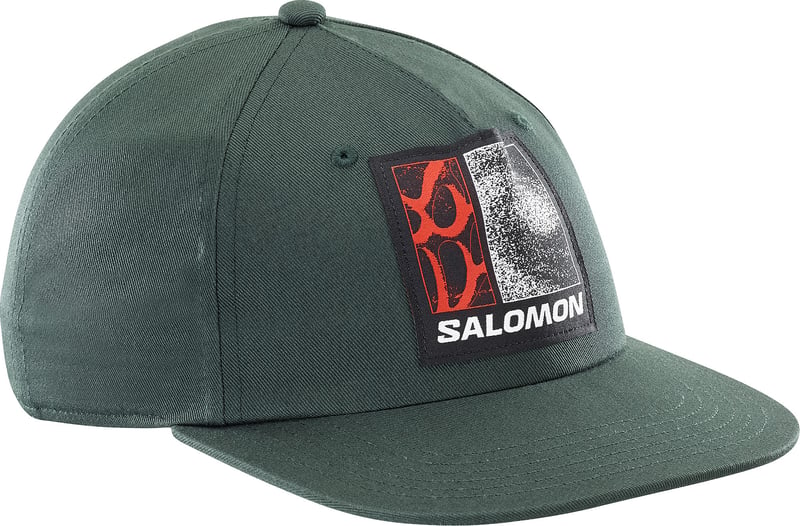 Salomon Freestyle Flat Cap Green Gables | Buy Salomon Freestyle
