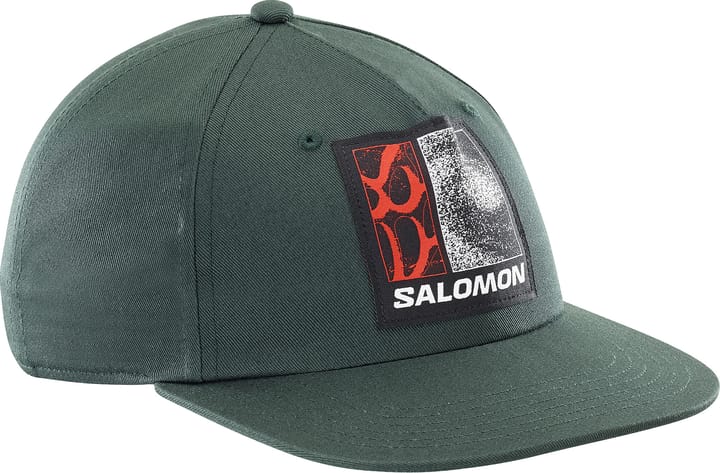 Salomon Freestyle Flat Cap Green Gables Salomon