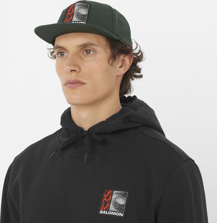 Salomon Freestyle Flat Cap Green Gables Salomon