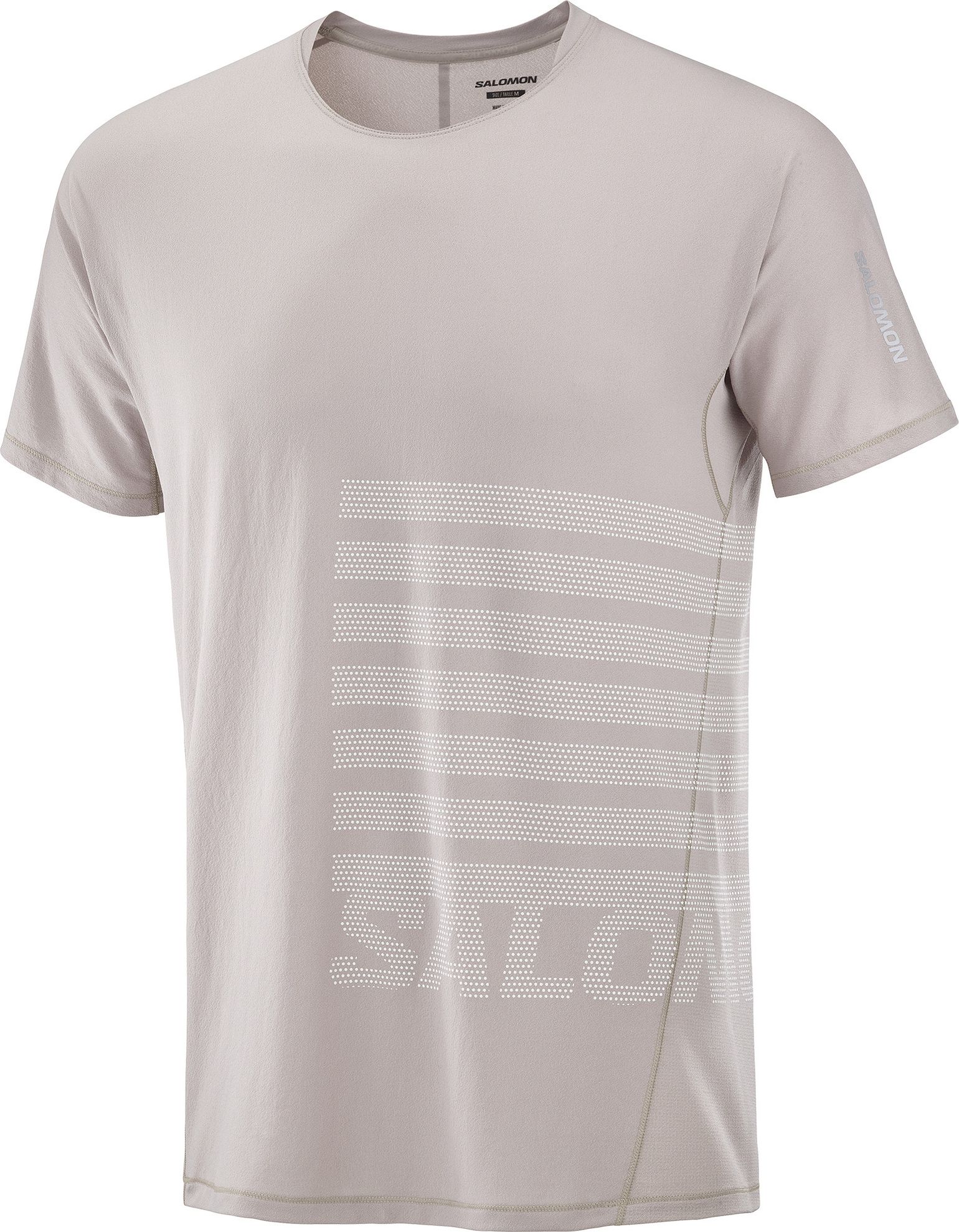 Salomon Men's Sense Aero Graphic Tee GFX Etherea/white/