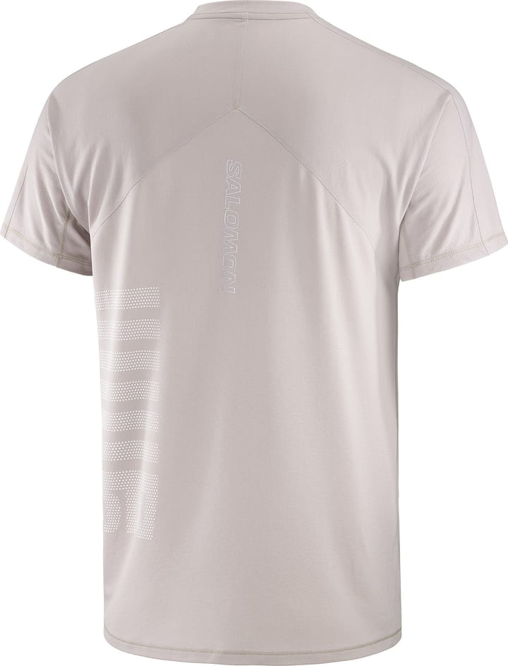 Salomon Men's Sense Aero Graphic Tee GFX Etherea/white/ Salomon