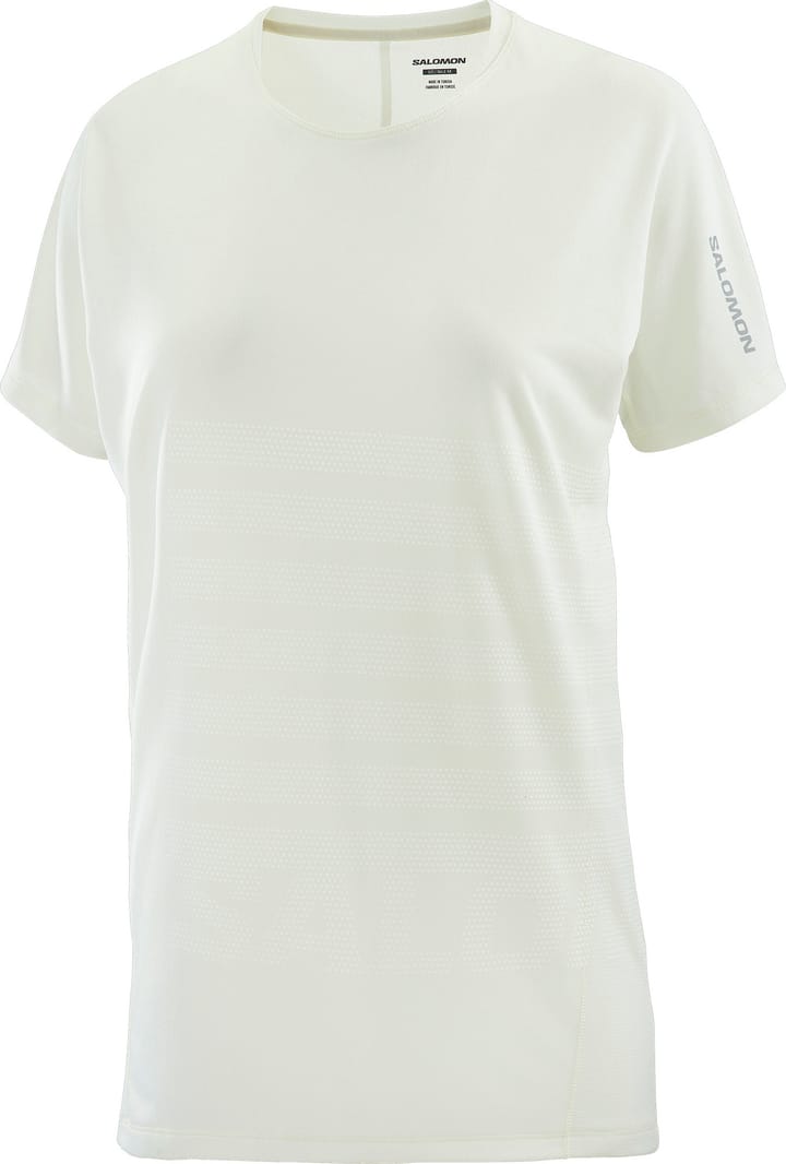 Salomon Women's Sense Aero Graphic Tee Icicle/white/ Salomon