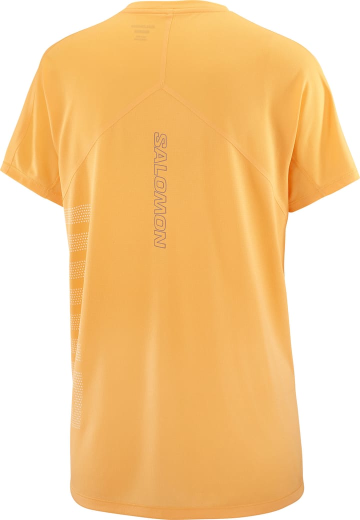 Salomon Women's Sense Aero Graphic Tee Warm Apricot/white/ Salomon