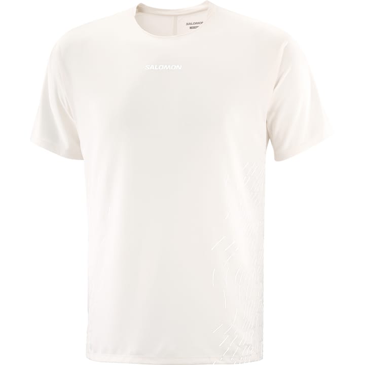 Salomon Men's Sense Aero Graphic Tee GFX Whisper White / Iron Salomon