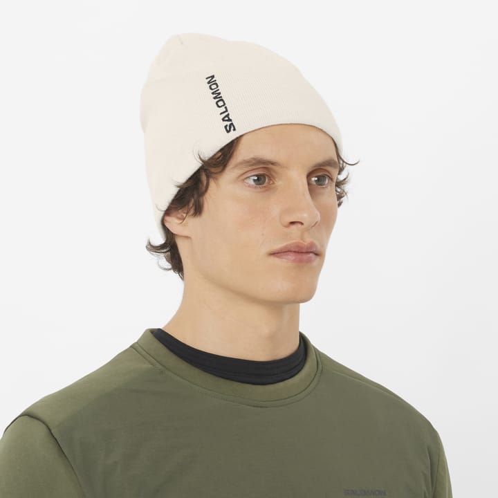 Salomon Graphic Beanie Whisper White Salomon