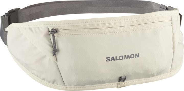 Salomon Pulse Sling Belt Icicle/Castelrock Salomon