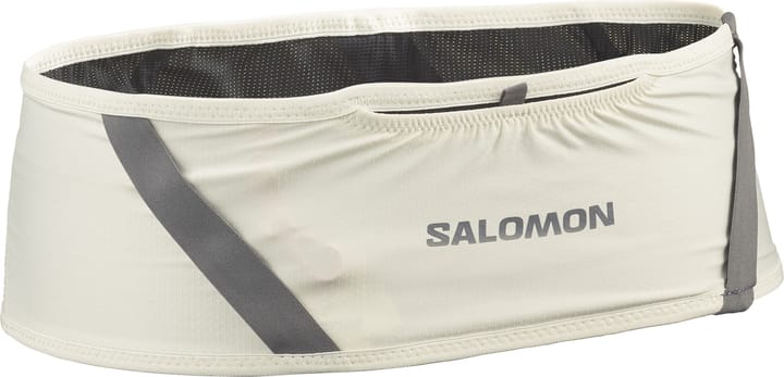 Salomon Pulse Icicle/Castelrock Salomon