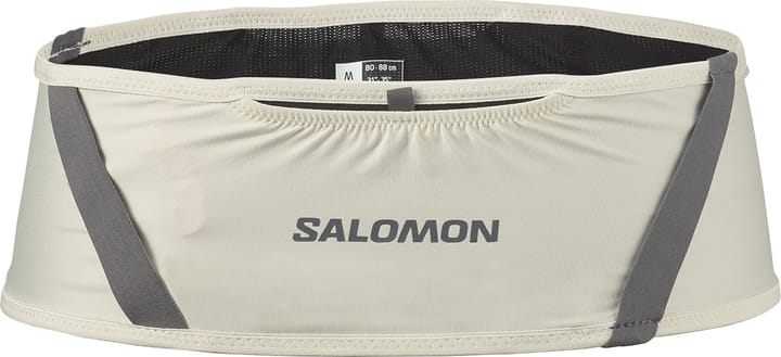 Salomon Pulse Icicle/Castelrock Salomon