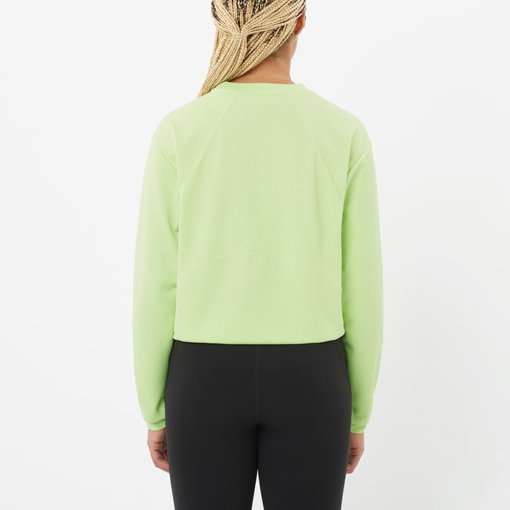 Salomon Motomesh Butterfly Salomon