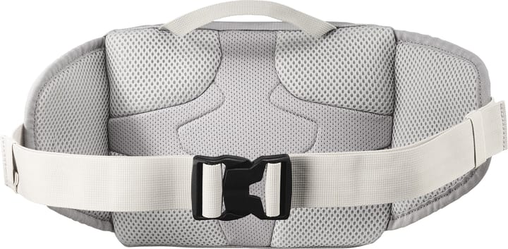 Salomon Trailblazer Waist Bag Cloudburst/paloma/silver Cloud Salomon
