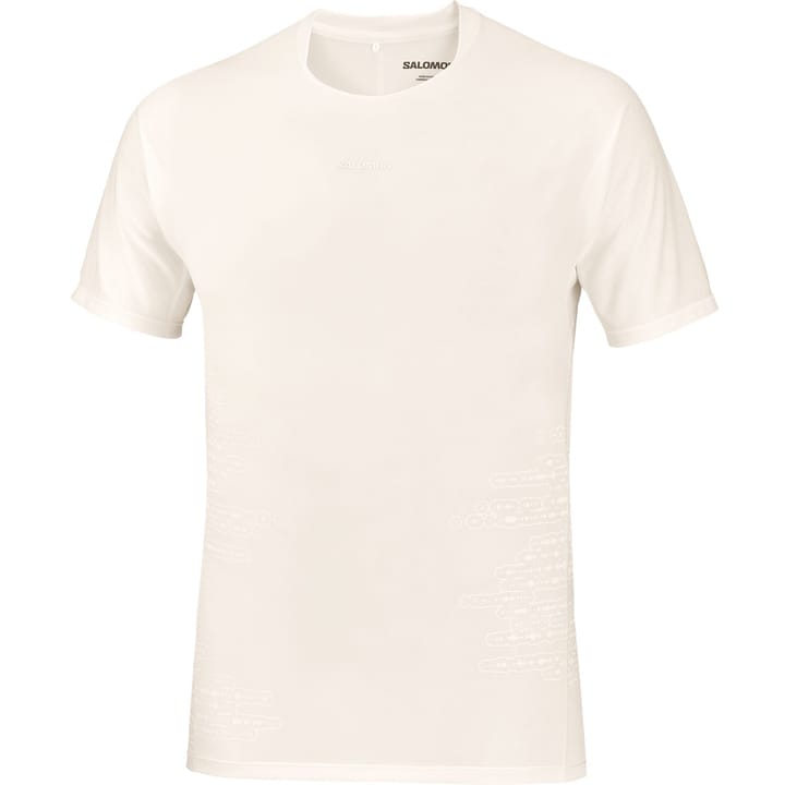 Salomon Sense Aero Ss Tee Gfx M Whisper White/raind Day/bright Whit Salomon