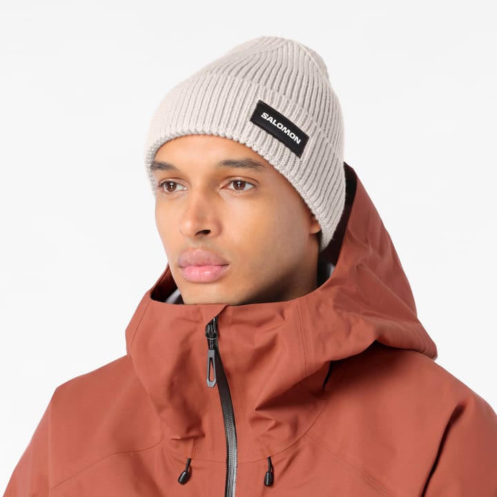 Salomon Classic Beanie  Silver Cloud/ Salomon