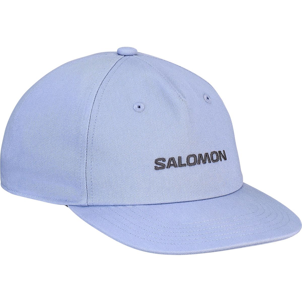 Salomon Logo Flat Cap Tempest/