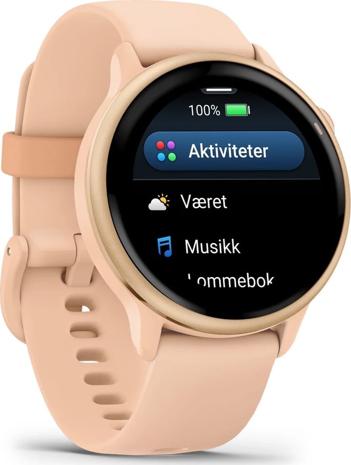 Garmin Vivoactive 6 Pink Dawn/P. Dawn Metallic Garmin