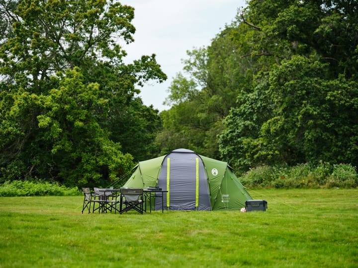 Coleman Spruce Falls 4 Blackout Green Coleman