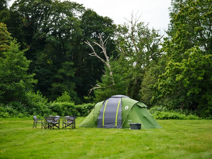Coleman Spruce Falls 4 Blackout Green Coleman
