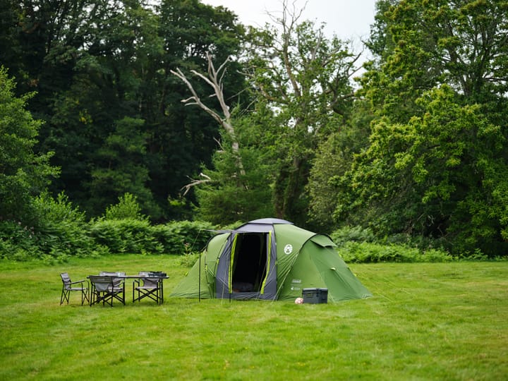 Coleman Spruce Falls 4 Blackout Green Coleman