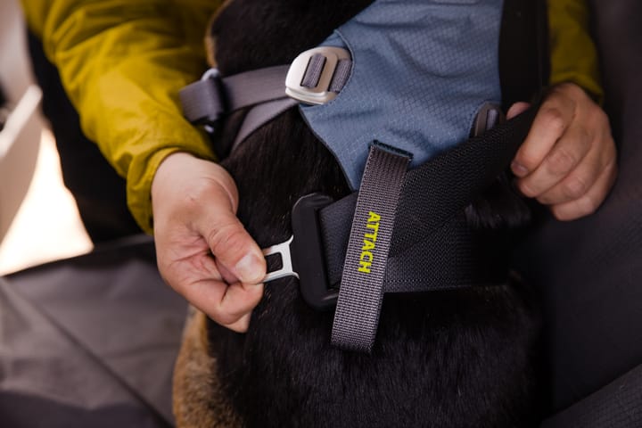 Ruffwear Load Up Dog Car Harness Slate Blue Ruffwear