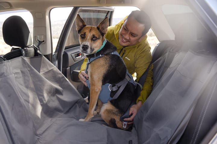 Ruffwear Load Up Dog Car Harness Slate Blue Ruffwear