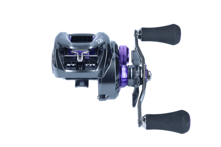 Prorex XR TWS 300 Daiwa
