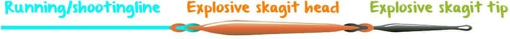 LTS Lts Explosive Skagit Tips LTS LTS Lts Explosive Skagit Tips LTS