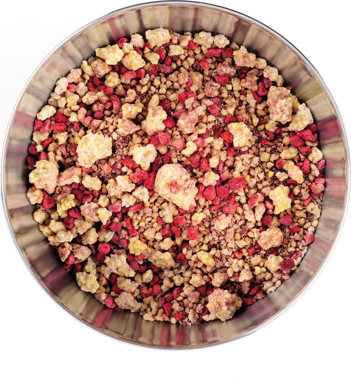 Lyofood Organic Millet Porridge With Raspberries Onecolour Lyofood