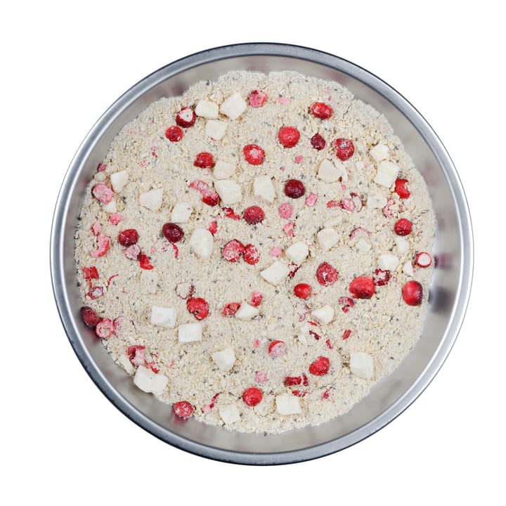 Organic Porridge With Cranberry, Apple & Cinnamon  Onecolour Lyofood