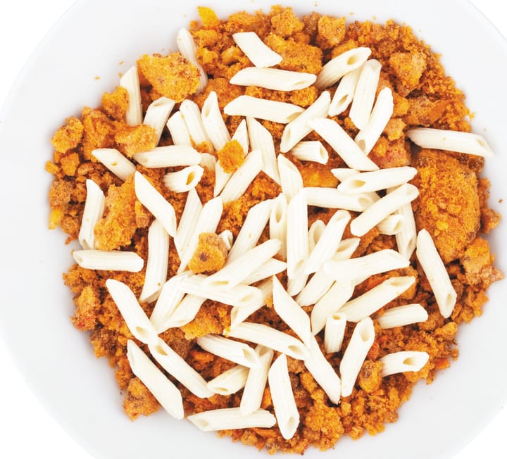 Lyofood Penne Bolognese Small Pack 370g NoColour Lyofood