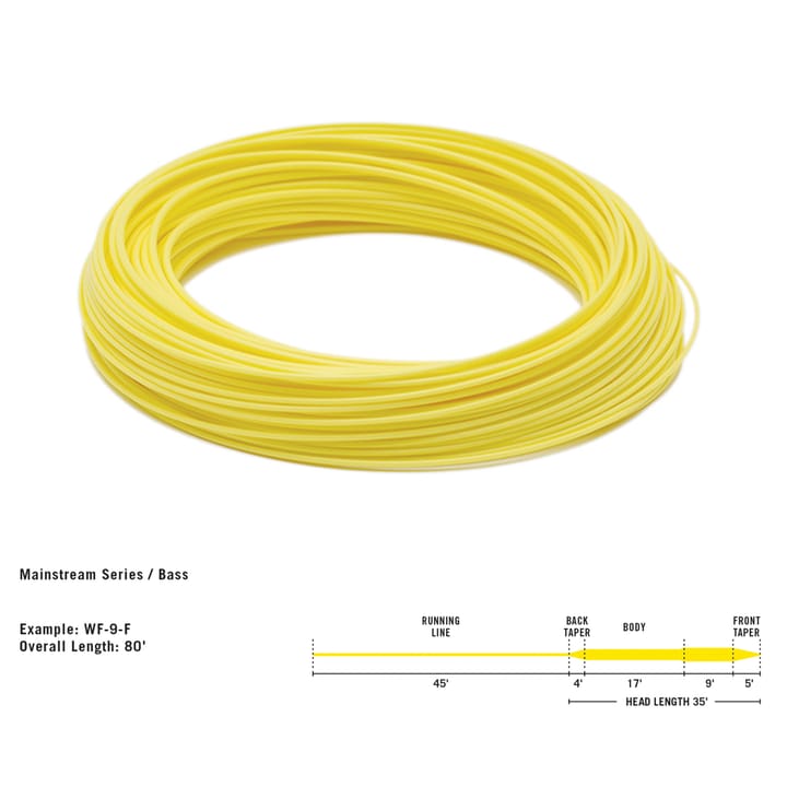 Rio Mainstream Bass/Pike Fly Line Kit Rio