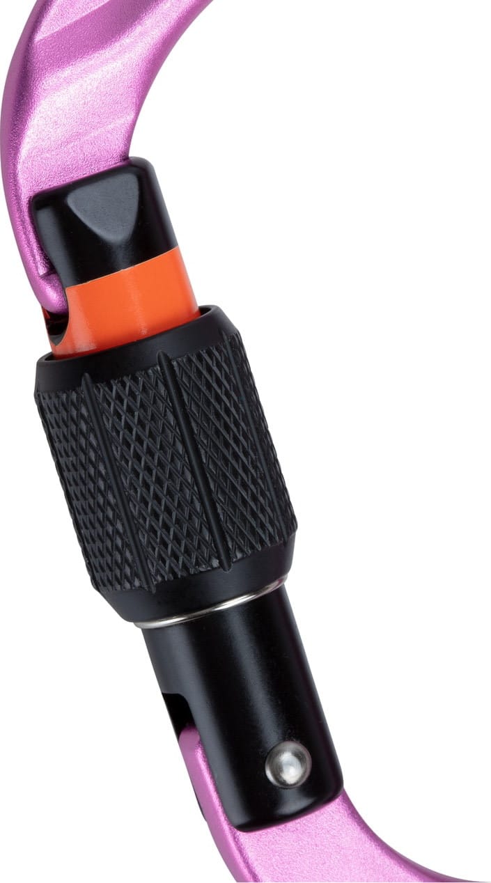 Mammut Classic HMS Screwgate Carabiner Pink Mammut