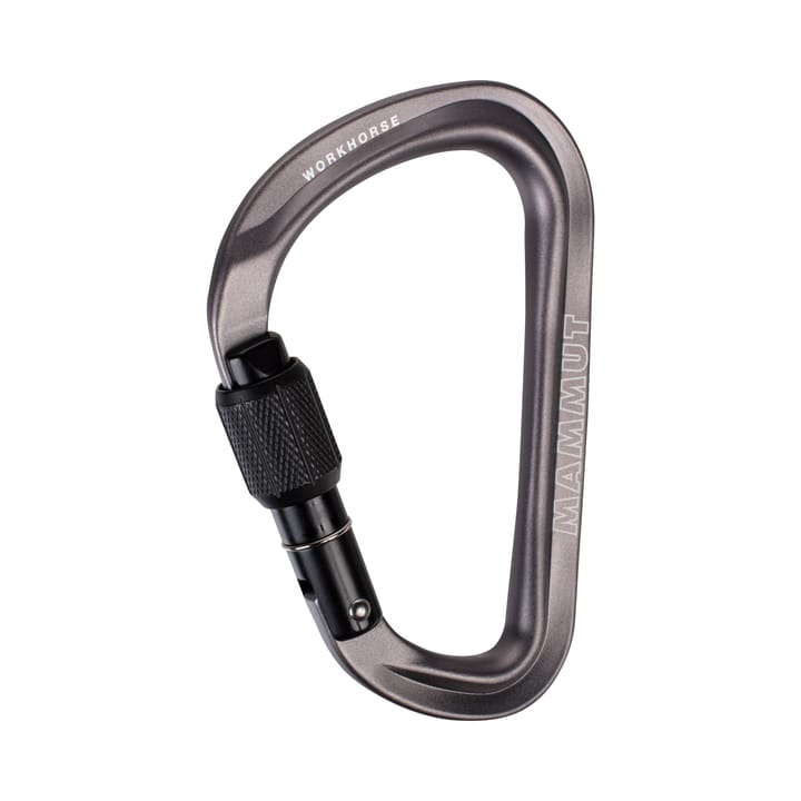 Workhorse Hms Screwgate Carabiner Screw Gate, grey Mammut