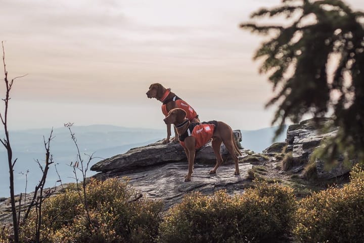 Non-stop Dogwear Hunting Cover Orange Non-stop Dogwear Non-stop Dogwear Hunting Cover Orange Non-stop Dogwear
