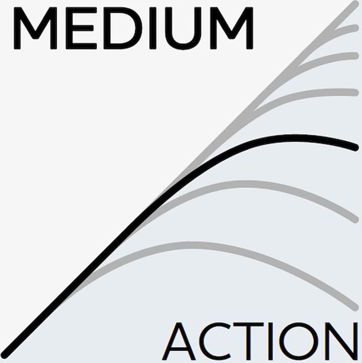 Westin W3 Powershad-T 3rd Westin