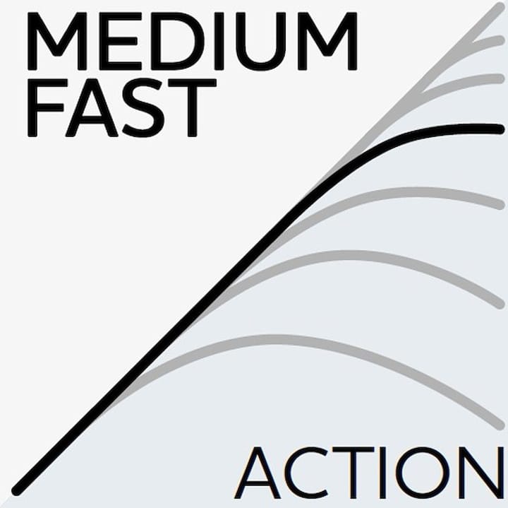 Westin W2 Salmon-T Westin