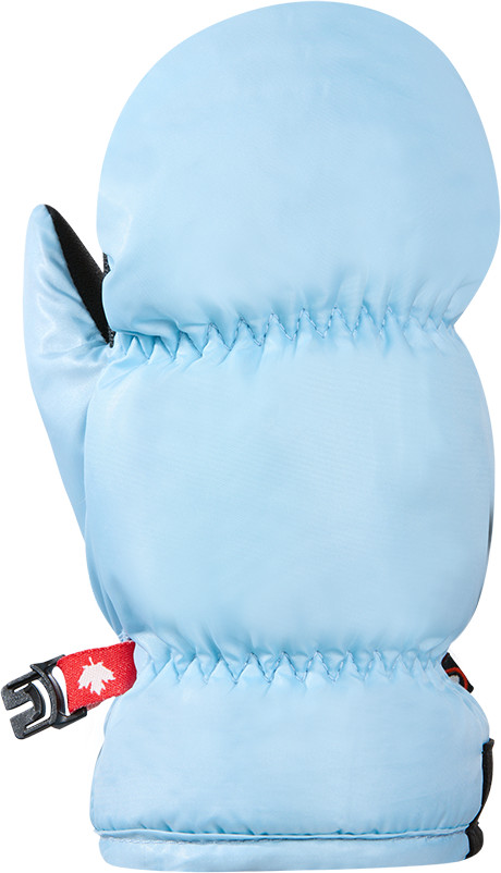Arctic blue
