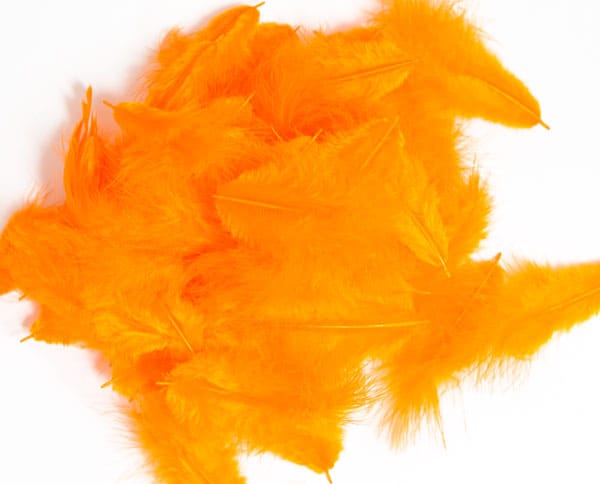 Wapsi Mini-Marabou Wapsi