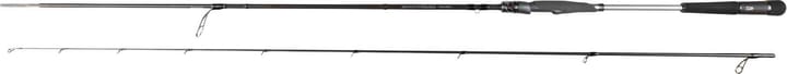 Daiwa Morethan Ags Daiwa
