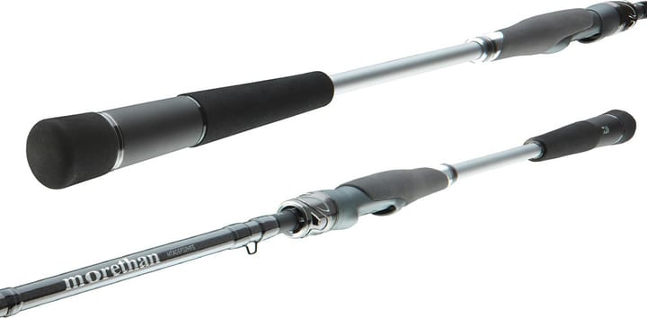 Daiwa Morethan Ags Daiwa
