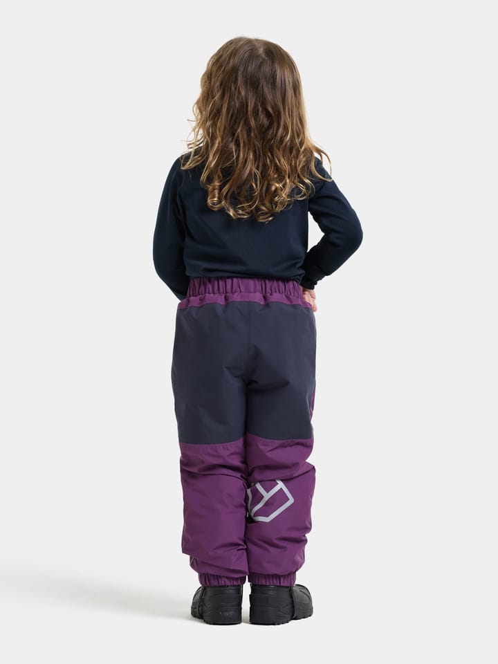 Didriksons Kids' Narvi Pants Northen Purple Didriksons