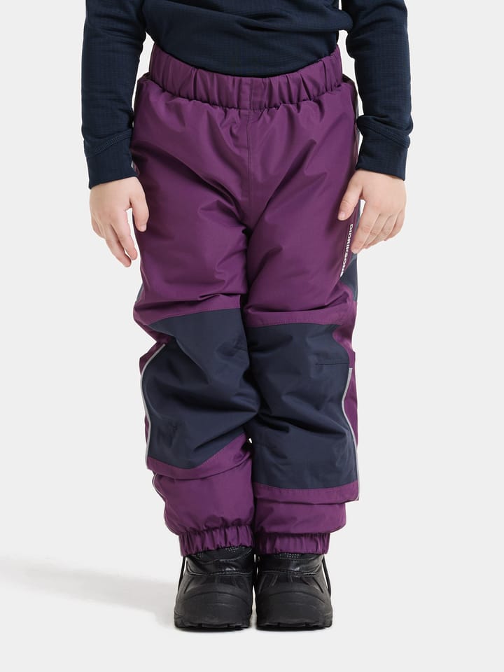Didriksons Kids' Narvi Pants Northen Purple Didriksons