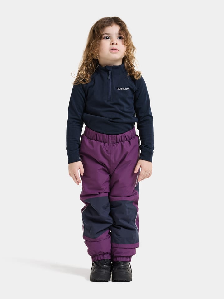 Didriksons Kids' Narvi Pants Northen Purple Didriksons