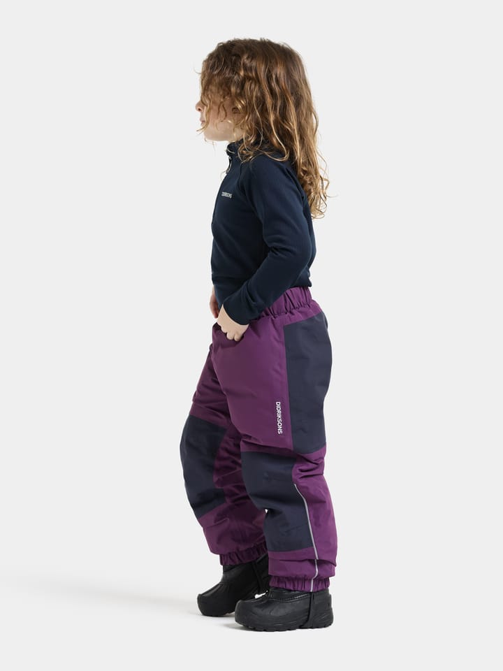 Didriksons Kids' Narvi Pants Northen Purple Didriksons