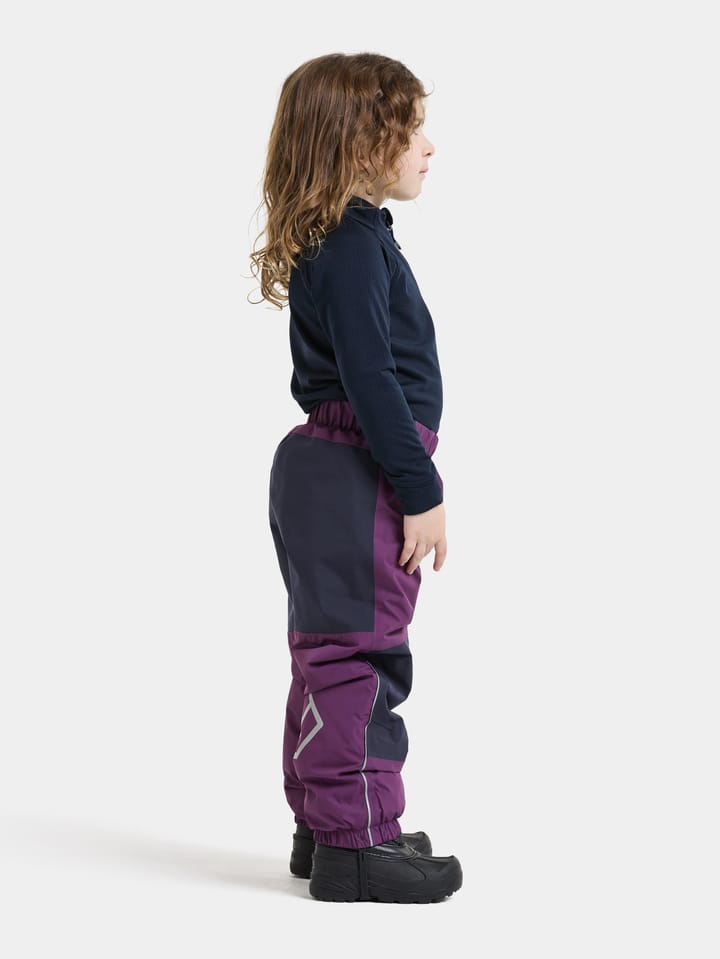 Didriksons Kids' Narvi Pants Northen Purple Didriksons